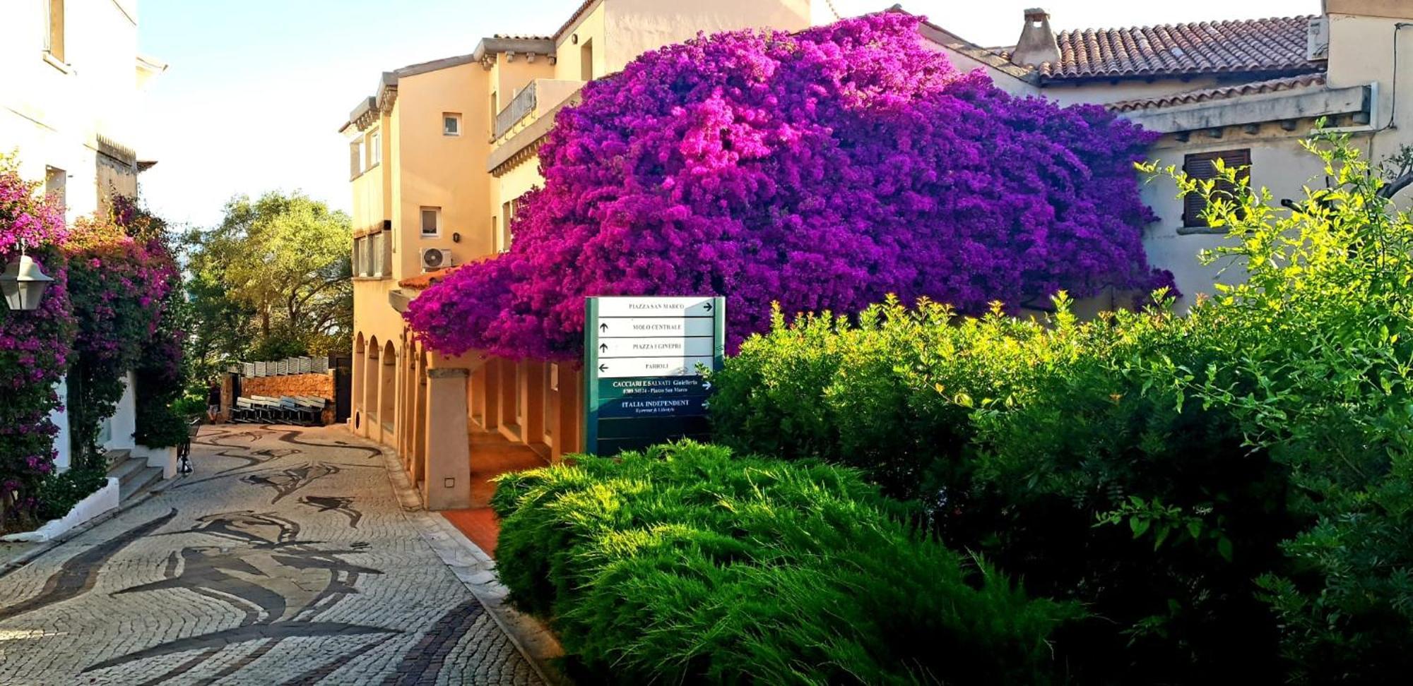 Residence Bouganville Porto Rotondo Exterior foto